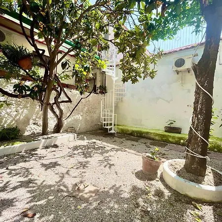 La Maison De Rose